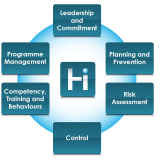 Health in Industry Management Standards 